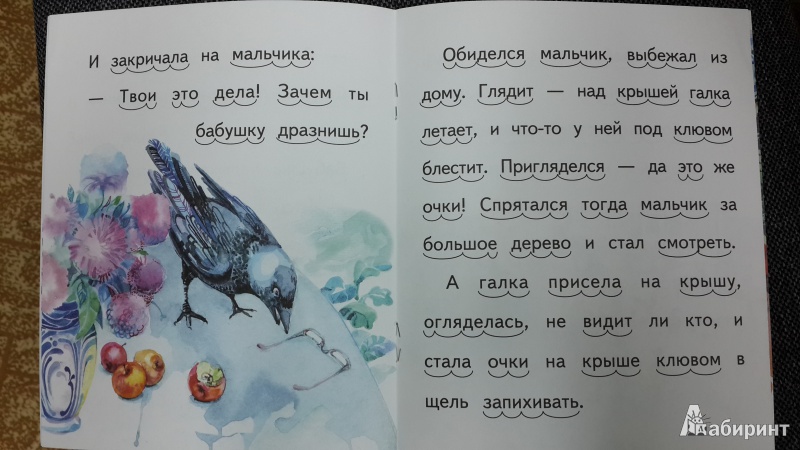Иллюстрация 8 из 22 для Галка - Борис Житков | Лабиринт - книги. Источник: ИринаИ
