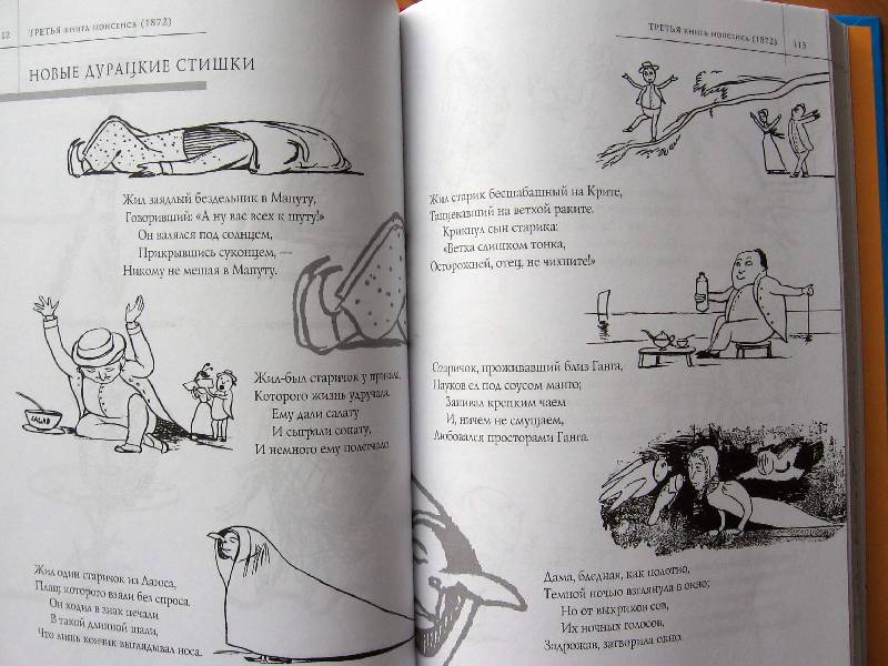 Иллюстрация 28 из 62 для Большая книга чепухи - Эдвард Лир | Лабиринт - книги. Источник: Red cat ;)