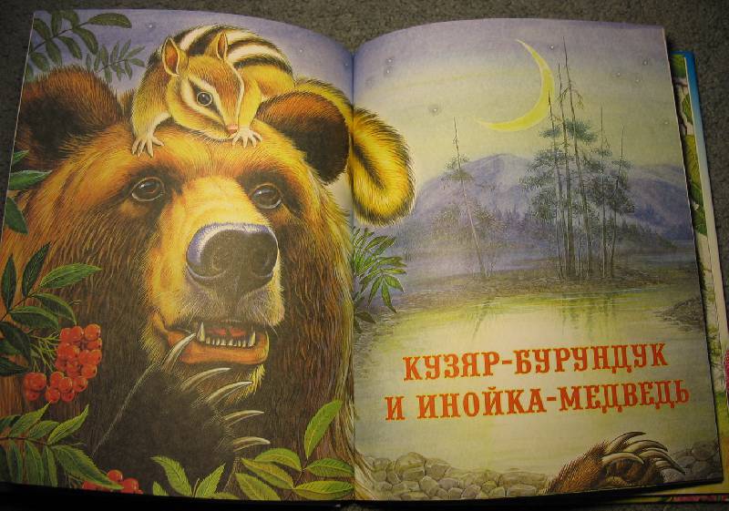 Иллюстрация 10 из 22 для Сказки о природе - Виталий Бианки | Лабиринт - книги. Источник: В  Светлана Е