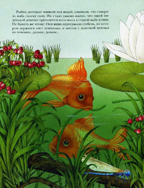 Иллюстрация 66 из 105 для Дюймовочка - Ханс Андерсен | Лабиринт - книги. Источник: Гостья