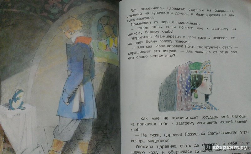Иллюстрация 23 из 41 для Иван-Царевич и серый волк | Лабиринт - книги. Источник: Савчук Ирина