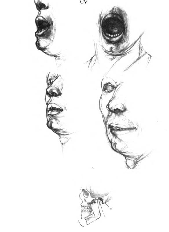 Иллюстрация 7 из 25 для Анатомия для художников - Ене Барчаи | Лабиринт - книги. Источник: Afina