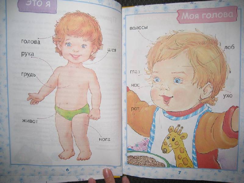 Иллюстрация 2 из 38 для Первая книга малыша. Энциклопедия для детей от 6 месяцев и старше | Лабиринт - книги. Источник: Шакти