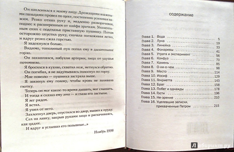 Иллюстрация 23 из 27 для Мистер Нефть, друг - Александр Иличевский | Лабиринт - книги. Источник: Александр Н.