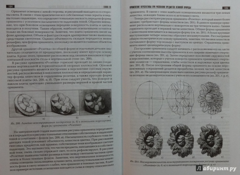 Иллюстрация 21 из 49 для Рисунок и перспектива. Теория и практика. Учебное пособие - Маргарита Макарова | Лабиринт - книги. Источник: Саломасов  Даниил