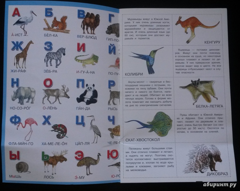 Иллюстрация 3 из 8 для Мир животных. Плакат, раскраска, разрезные карточки. Три пособия в одном | Лабиринт - игрушки. Источник: Гайнцева  Айгуль Наилевна