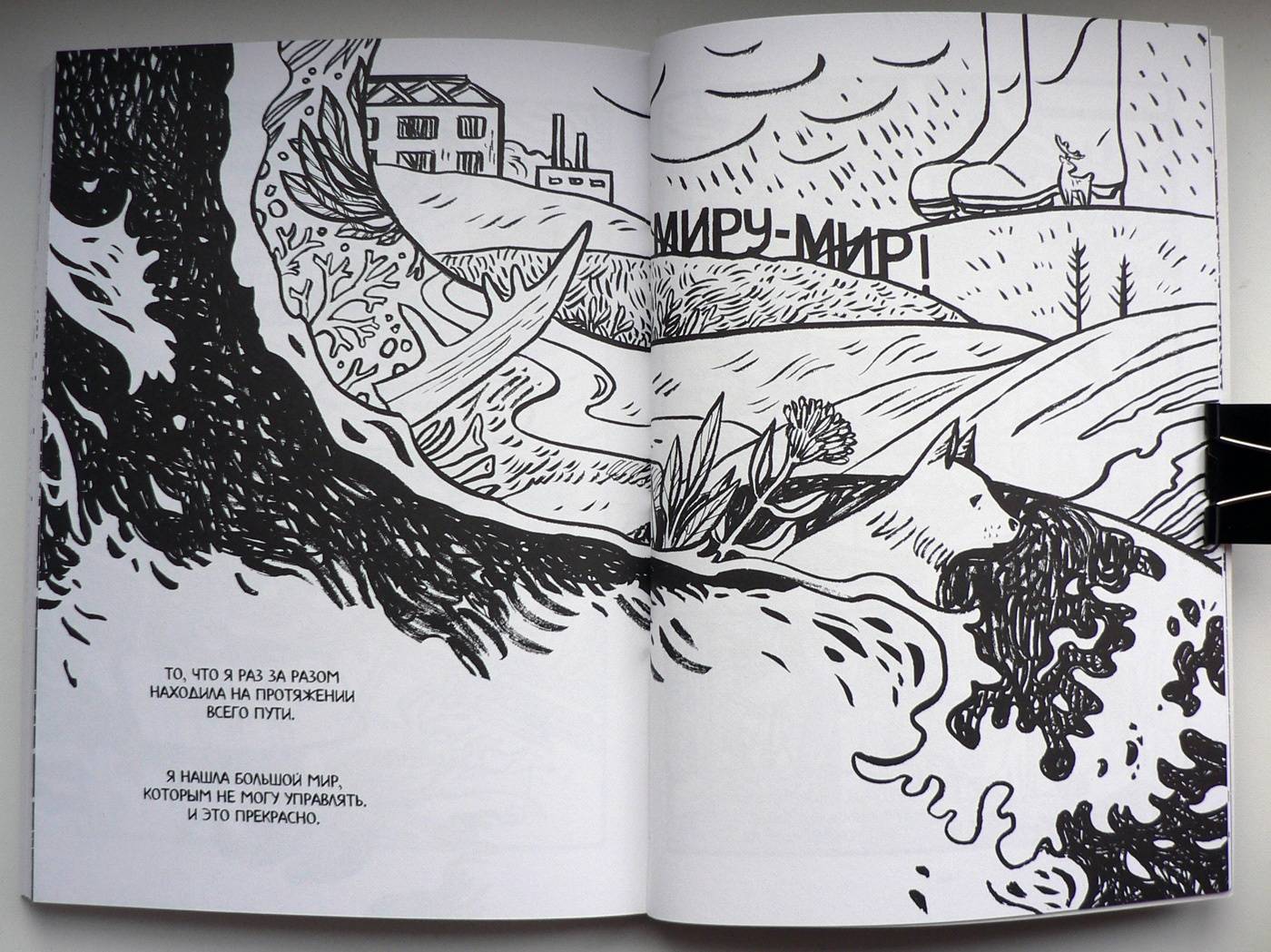 Иллюстрация 24 из 34 для Дневник штормов - Юлия Никитина | Лабиринт - книги. Источник: Александр Лисовский