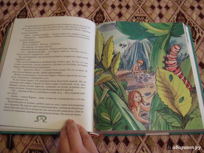 Иллюстрация 28 из 86 для Необыкновенные приключения Карика и Вали - Ян Ларри | Лабиринт - книги. Источник: Волкова  Алена