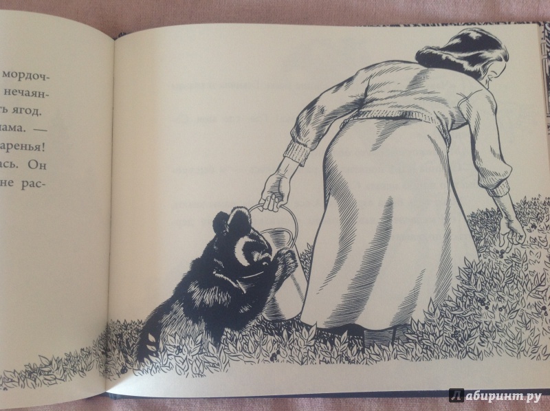 Иллюстрация 53 из 61 для Черника для Саши - Роберт Макклоски | Лабиринт - книги. Источник: К  Анна