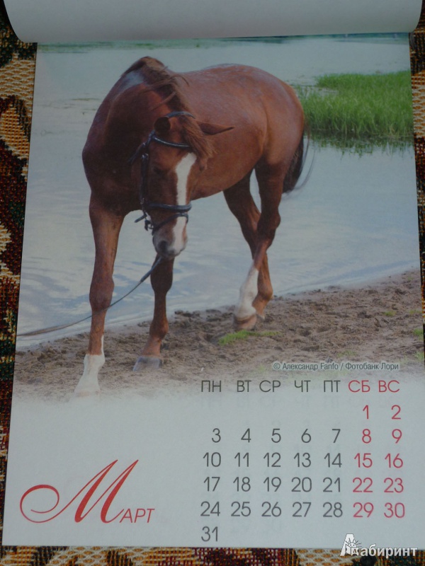 Иллюстрация 5 из 12 для Календарь на магните на 2014 год "Год лошади" | Лабиринт - сувениры. Источник: Шубина  Диана Владимировна