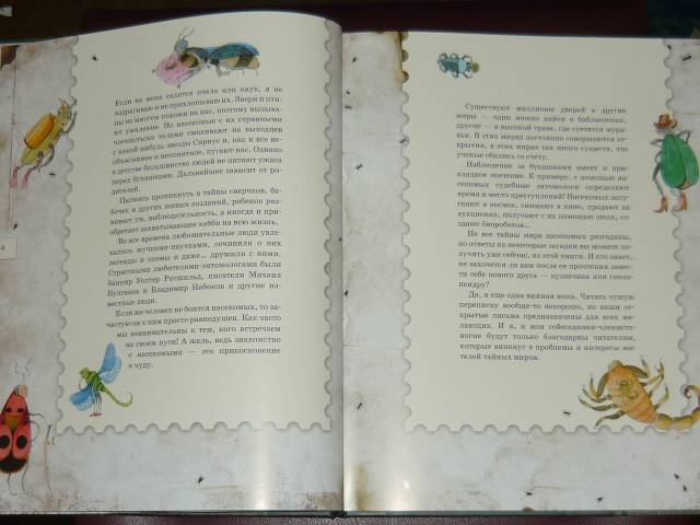 Иллюстрация 71 из 103 для Письма насекомых - Ольга Кувыкина | Лабиринт - книги. Источник: Ромашка:-)