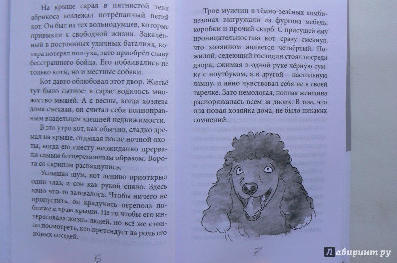 Иллюстрация 5 из 32 для Кот на счастье - Тамара Крюкова | Лабиринт - книги. Источник: Марина