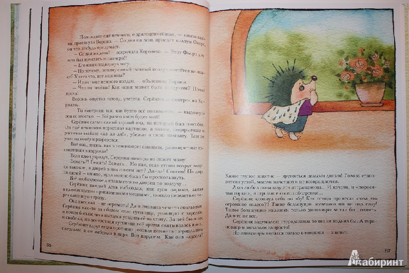 Иллюстрация 79 из 195 для Серёжик - Елена Ракитина | Лабиринт - книги. Источник: Букландия
