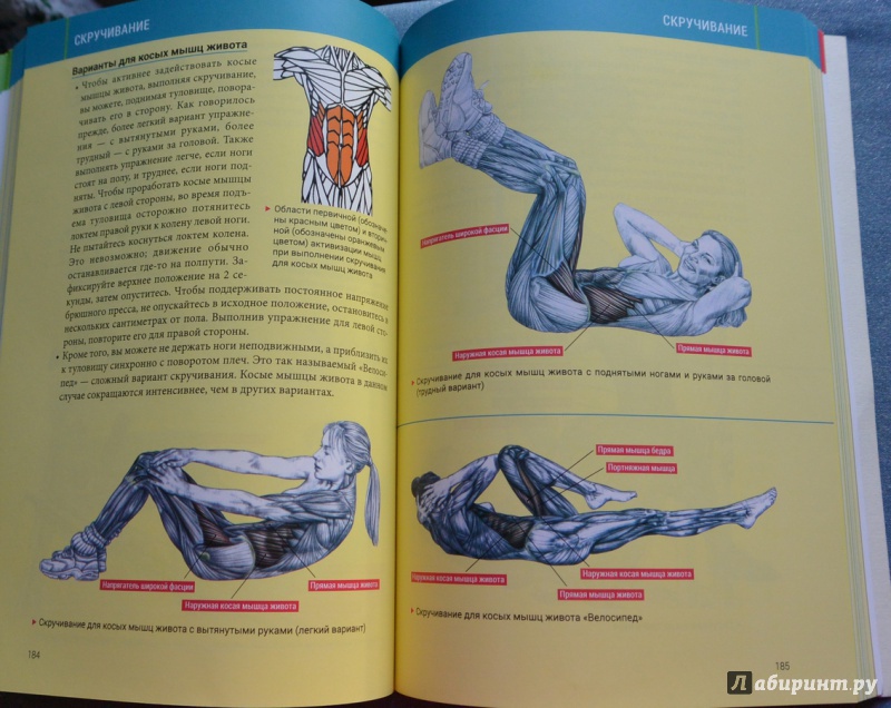 Иллюстрация 30 из 85 для Анатомия силовых тренировок для женщин - Делавье, Гандил | Лабиринт - книги. Источник: IrSh
