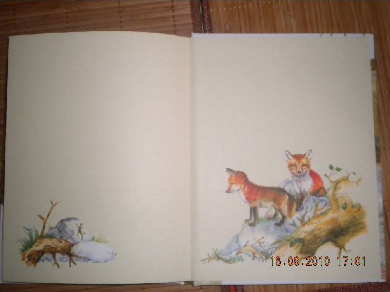 Иллюстрация 44 из 58 для Домино - Эрнест Сетон-Томпсон | Лабиринт - книги. Источник: Девушка с кошкой