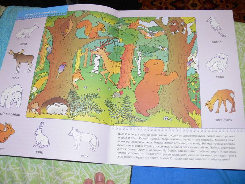 Иллюстрация 6 из 19 для На лесной полянке. Занятия с детьми 2-3 лет | Лабиринт - книги. Источник: Irbis
