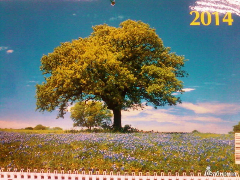 Иллюстрация 4 из 7 для Календарь на 2014 год "Ясная поляна". Квартальный (14 0004) | Лабиринт - сувениры. Источник: lettrice