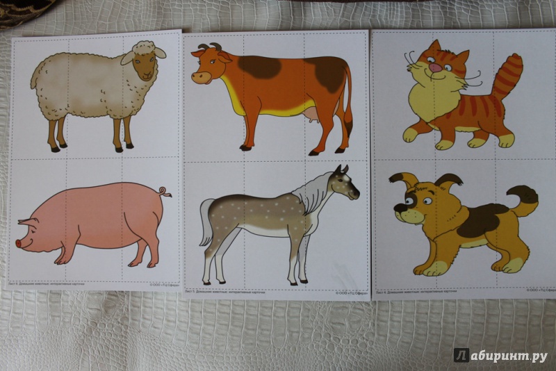 Иллюстрация 25 из 38 для Домашние животные. Интерактивные карточки по познавательно-речевому развитию - Елена Косинова | Лабиринт - игрушки. Источник: Svetlan