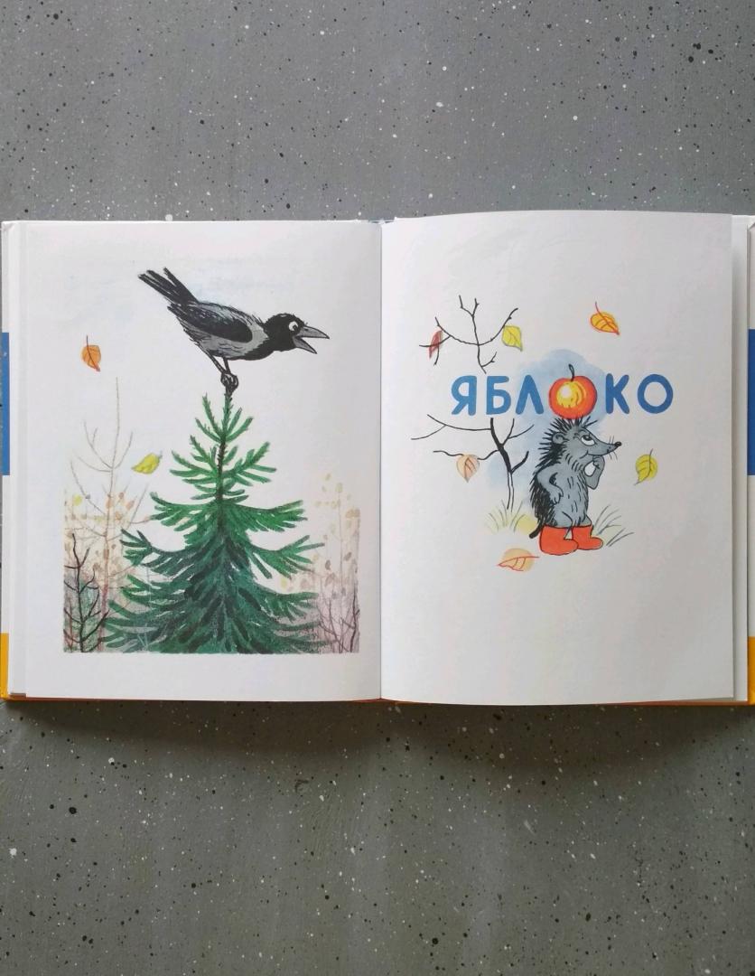 Иллюстрация 39 из 51 для Сказки и картинки - Владимир Сутеев | Лабиринт - книги. Источник: Лабиринт