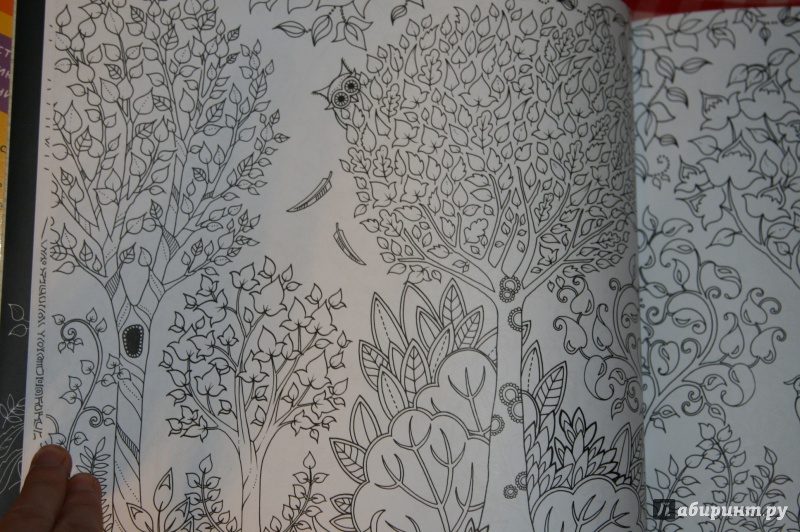 Иллюстрация 7 из 68 для Зачарованный лес - Джоанна Бэсфорд | Лабиринт - книги. Источник: Кабанова  Ксения Викторовна