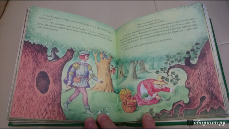 Иллюстрация 13 из 35 для Сказки - Гримм Якоб и Вильгельм | Лабиринт - книги. Источник: anka46