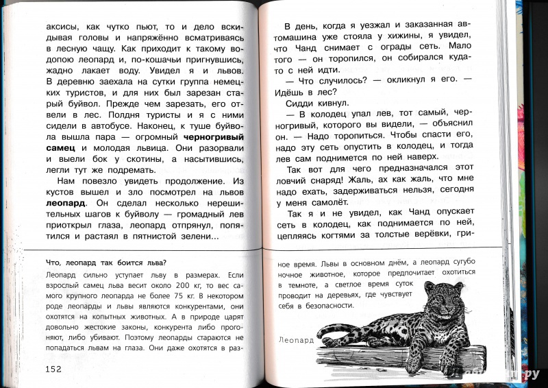 Иллюстрация 51 из 65 для Живые домики. С вопросами и ответами для почемучек - Сахарнов, Мосалов | Лабиринт - книги. Источник: Террил