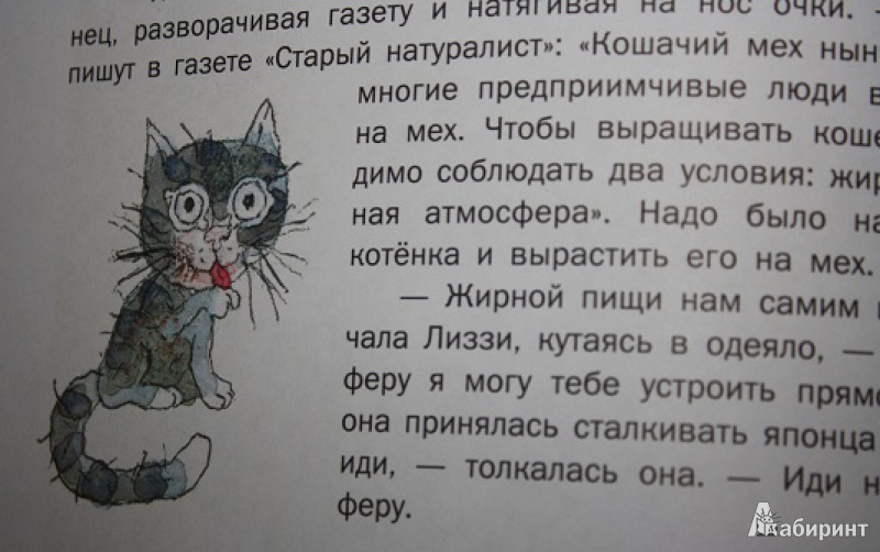 Иллюстрация 28 из 37 для Шамайка - королева кошек - Юрий Коваль | Лабиринт - книги. Источник: КНИЖНОЕ ДЕТСТВО