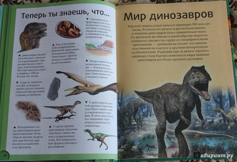 Иллюстрация 7 из 7 для Динозавры - Дугал Диксон | Лабиринт - книги. Источник: Наталья Титова