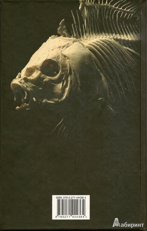 Иллюстрация 8 из 30 для След черной рыбы - Вайнер, Словин | Лабиринт - книги. Источник: АГП