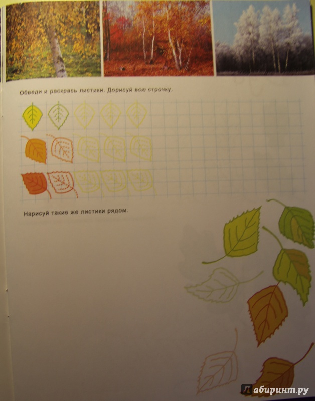 Иллюстрация 13 из 16 для Познавательные прописи "Листья и деревья" (33981) | Лабиринт - книги. Источник: Тасиа