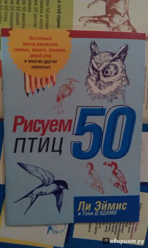 Иллюстрация 9 из 22 для Рисуем 50 птиц - Эймис, Д'Адамо | Лабиринт - книги. Источник: ss0263042