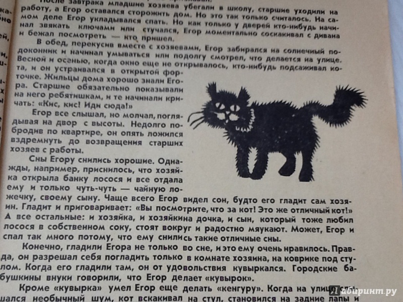 Каникулы кота егора. Каникулы кота Егора книга. Каникулы кота Егора иллюстрации.