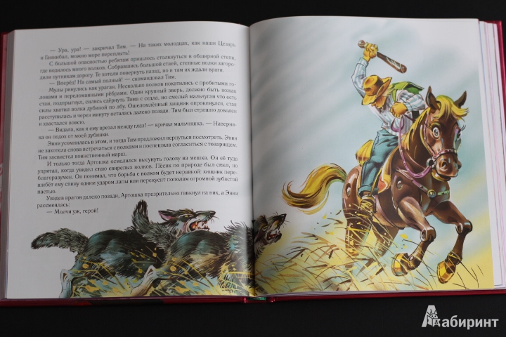 Иллюстрация 20 из 25 для Огненный бог Марранов - Александр Волков | Лабиринт - книги. Источник: LittleDragon