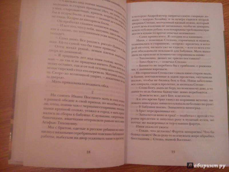 Иллюстрация 19 из 21 для Тихие яблони. Забытая русская проза - Сергей Дурылин | Лабиринт - книги. Источник: Evgeniya