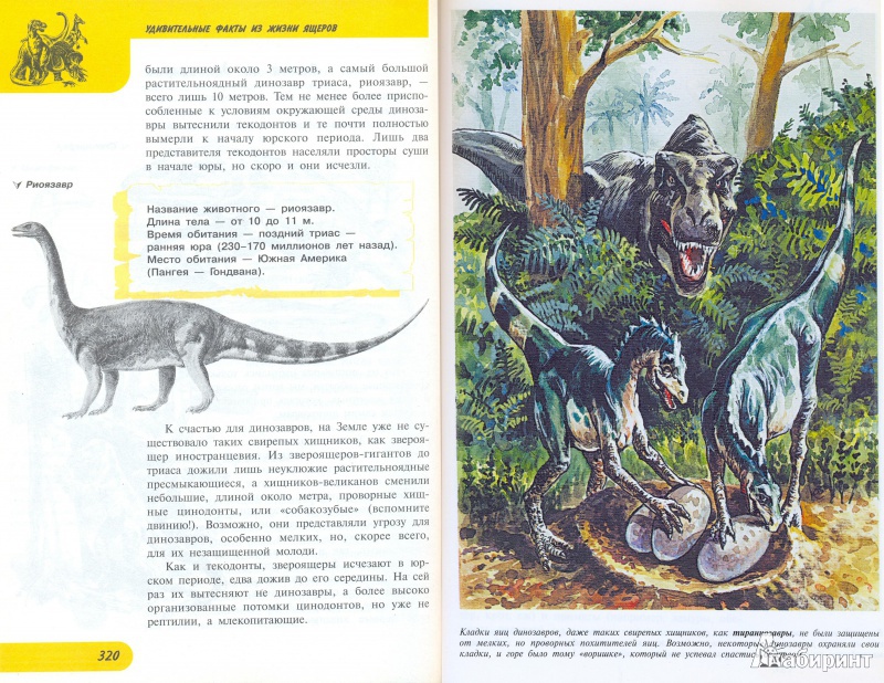 Иллюстрация 9 из 22 для Жизнь замечательных динозавров - Пахневич, Чегодаев | Лабиринт - книги. Источник: Bliss65