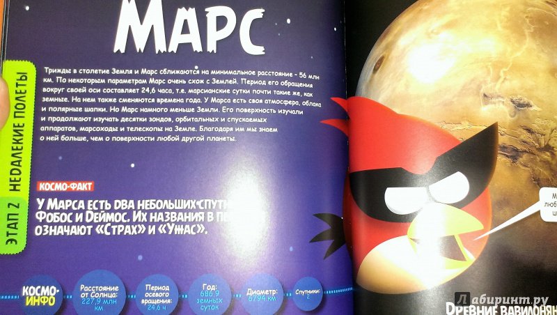 Иллюстрация 9 из 16 для Angry Birds. Космос. Захватывающий полет к последнему рубежу - Эми Бриггс | Лабиринт - книги. Источник: Савчук Ирина