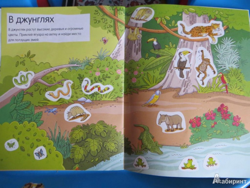 Иллюстрация 14 из 23 для Животные. Книга с наклейками (для детей от 4-х лет) | Лабиринт - книги. Источник: Ko-ren