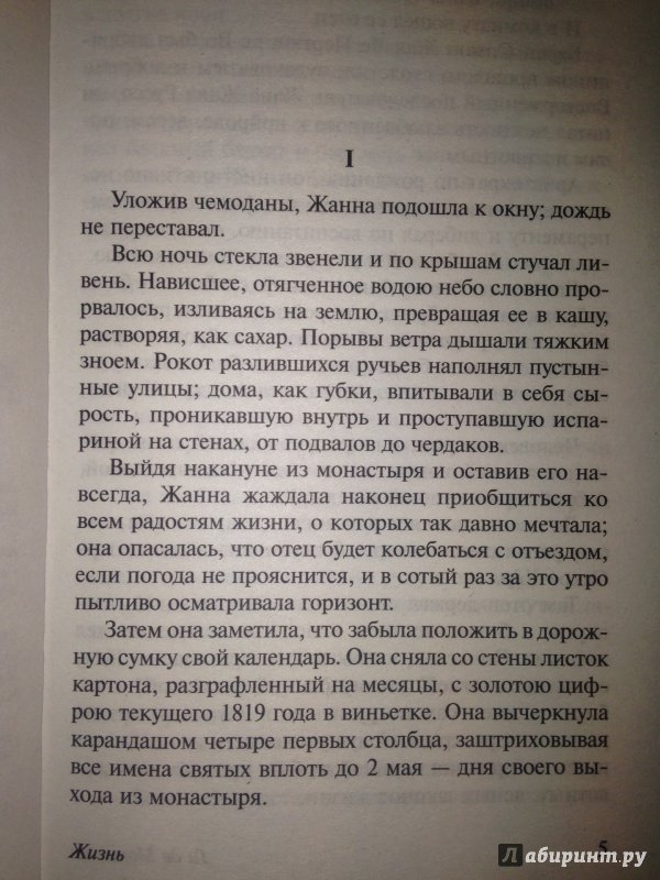 Иллюстрация 24 из 25 для Жизнь - Ги Мопассан | Лабиринт - книги. Источник: Якубовская  Диана Аркадьевна