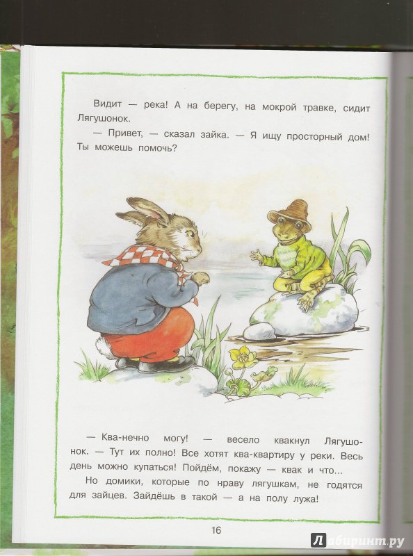 Иллюстрация 44 из 118 для Лесные истории - Рене Клок | Лабиринт - книги. Источник: Ольга