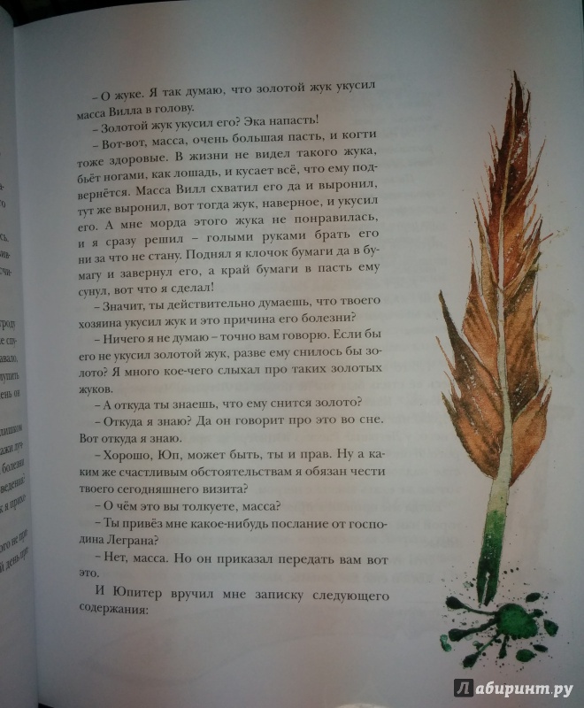 Иллюстрация 21 из 29 для Золотой жук - Эдгар По | Лабиринт - книги. Источник: Annexiss