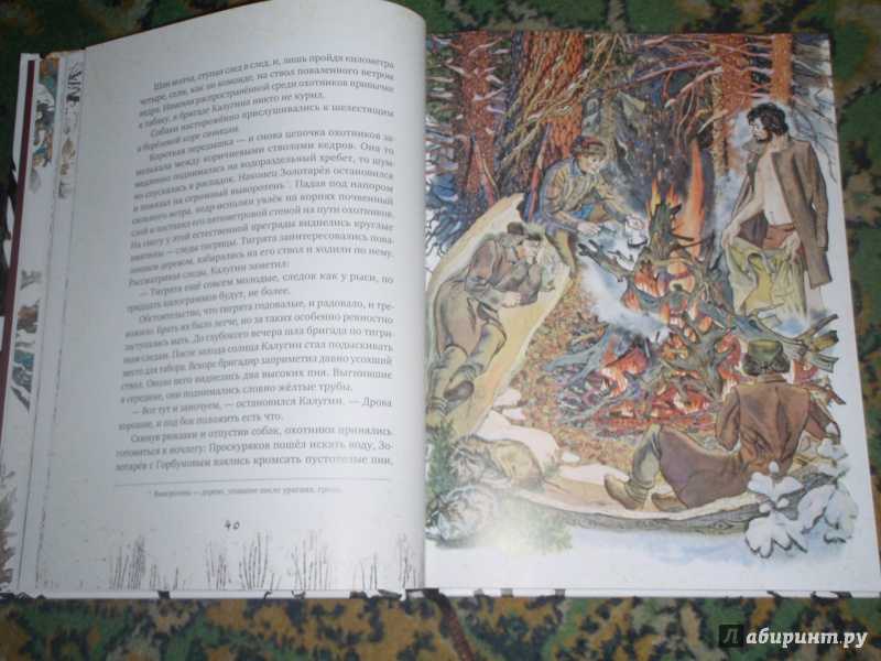 Иллюстрация 47 из 154 для Золотая Ригма - Всеволод Сысоев | Лабиринт - книги. Источник: солнечная поганка