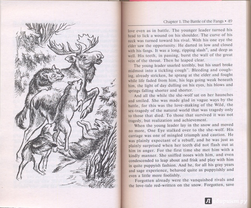 Иллюстрация 6 из 13 для White Fang - Джек Лондон | Лабиринт - книги. Источник: Эля
