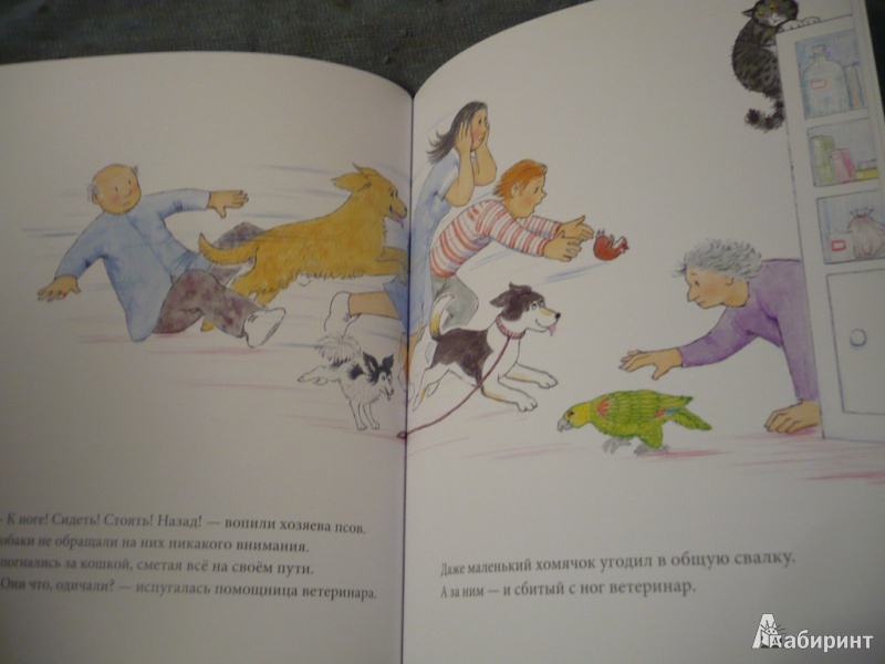 Иллюстрация 19 из 32 для Мяули у ветеринара - Джудит Керр | Лабиринт - книги. Источник: angela_kvitka