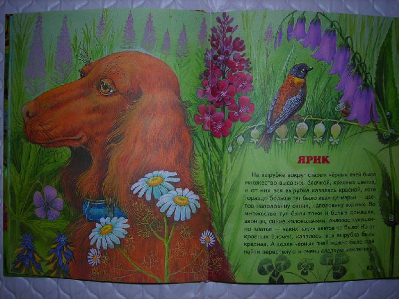 Иллюстрация 7 из 37 для Про птиц и зверей - Михаил Пришвин | Лабиринт - книги. Источник: книголюб 61