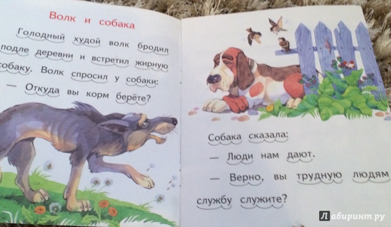 Иллюстрация 7 из 24 для Волк и собака - Лев Толстой | Лабиринт - книги. Источник: Elenka.nsk