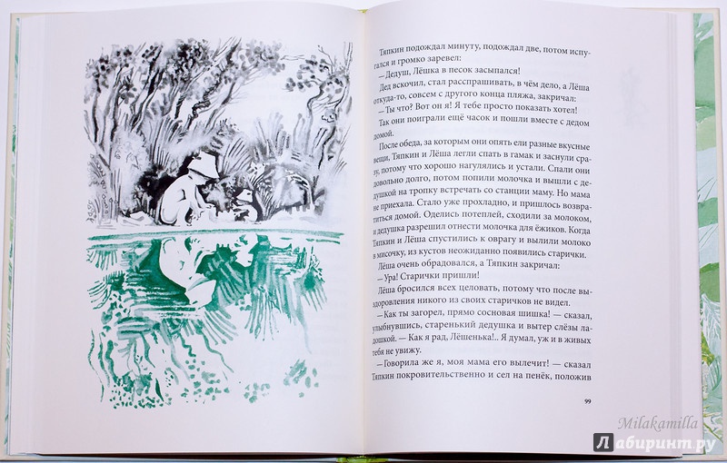 Иллюстрация 78 из 86 для Тяпкин и Леша - Майя Ганина | Лабиринт - книги. Источник: Букландия