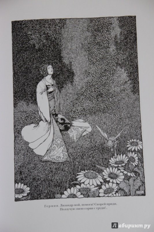 Иллюстрация 11 из 48 для Сон в летнюю ночь. Двенадцатая ночь - Уильям Шекспир | Лабиринт - книги. Источник: Blackboard_Writer