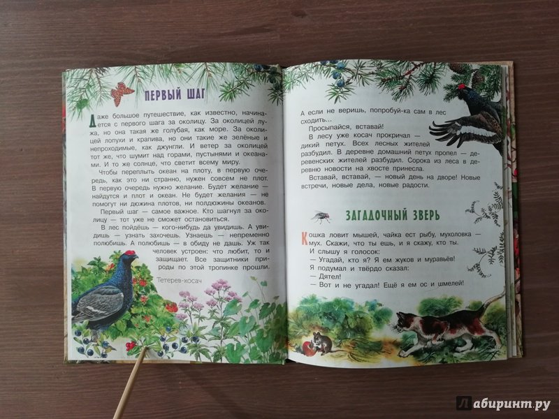 Иллюстрация 45 из 65 для Лесные сказки - Николай Сладков | Лабиринт - книги. Источник: Гошева  Елена