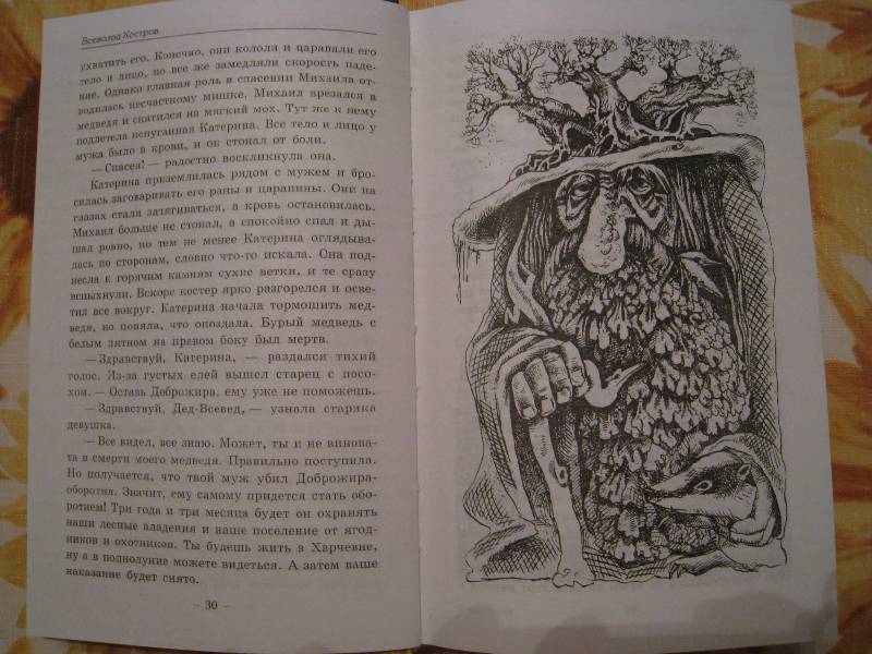 Иллюстрация 6 из 9 для Злая ведьма Варвара, или Когда зацветет папоротник - Всеволод Костров | Лабиринт - книги. Источник: Grom5