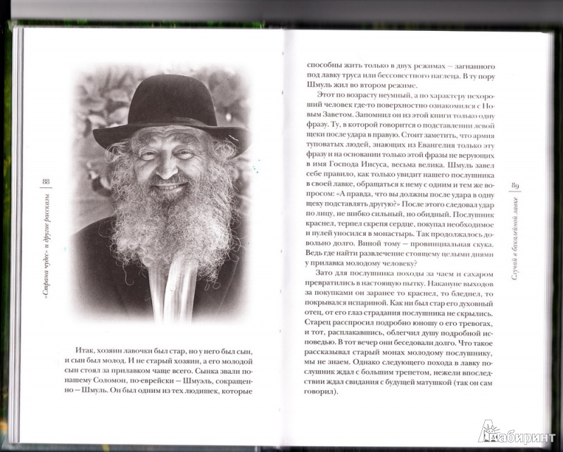 Иллюстрация 5 из 60 для "Страна чудес" и другие рассказы - Андрей Протоиерей | Лабиринт - книги. Источник: barocco